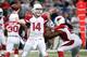 Dec 11, 2014; St. Louis, MO, USA; Arizona Cardinals quarterback Ryan Lindley (14) throws a pass during the second half of a football game against the St. Louis Rams at the Edward Jones Dome. The Cardinals defeated the Rams 12-6. Mandatory Credit: Scott K