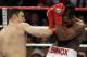 Klitschko gave Lewis all he could handle before being stopped on cuts.