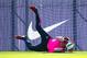 Ter Stegen has the class to be Barcelona's long-term goalkeeper.