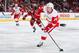 GLENDALE, AZ - FEBRUARY 07: Gustav Nyquist #14 of the Detroit Red Wings shoots the puck against the Arizona Coyotes during the NHL game at Gila River Arena on February 7, 2015 in Glendale, Arizona. The Red Wings defeated the Coyotes 3-1. (Photo by Chris