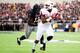Arkansas RB Jonathan Williams