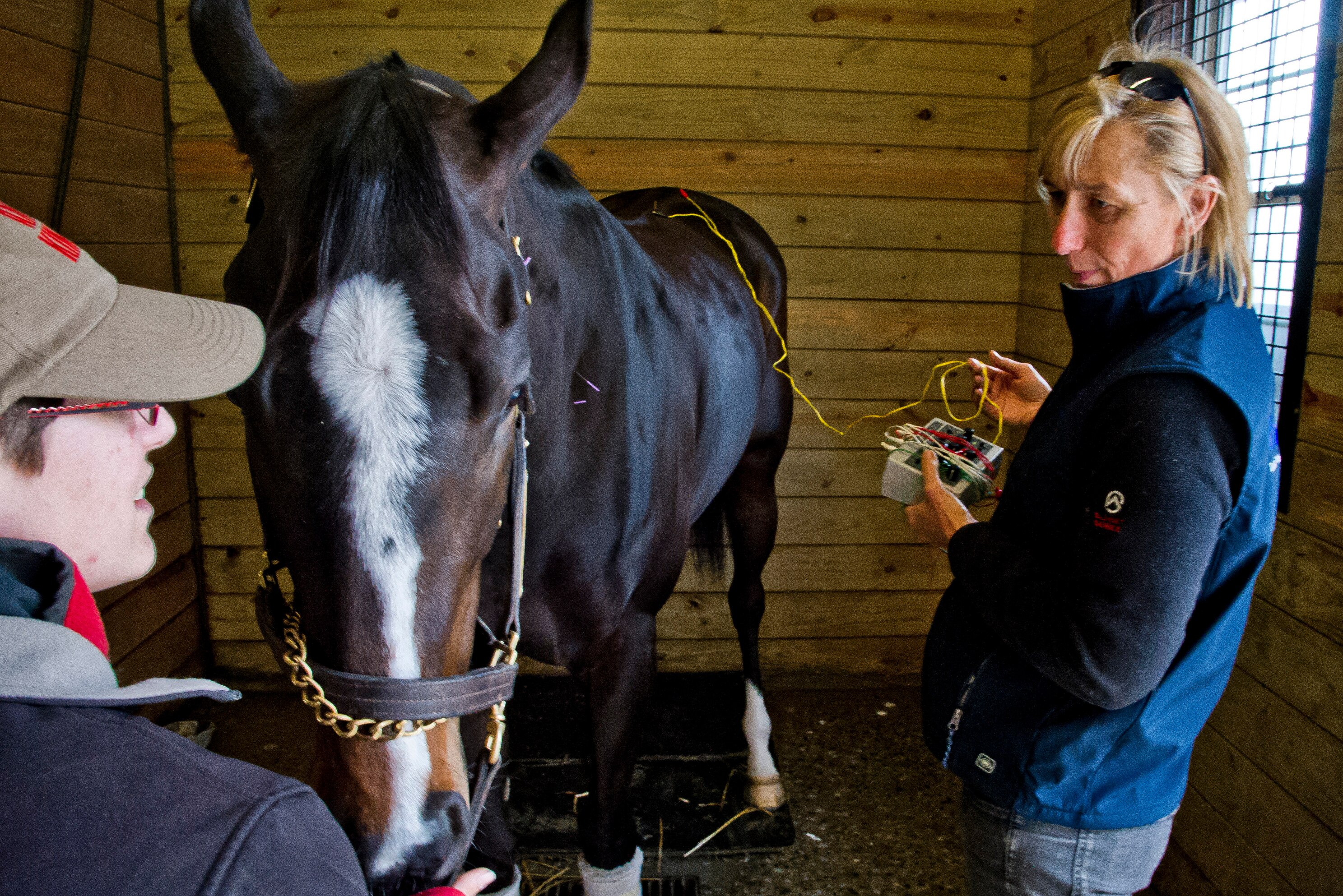 Living Like A King The Pampered Life Of A Racehorse Bleacher Report Latest News Videos And Highlights