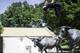 Silas Nacita doing his trademark backflip in Waco