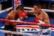 WBA and WBO champion Estrada.