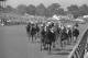 The 1977 Kentucky Derby