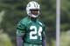 Will Bill Belichick be able to scheme around the loss of Darrelle Revis?