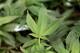 Players say that for some in the NFL, marijuana is part of a weekly ritual to handle the rigors of an NFL game week.