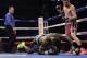 Jesus Soto Karass stopped Berto in 2013.