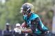 If the rest of your team is topnotch, you can succeed with a T.J. Yeldon type as your RB1.