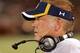 Brian Kelly