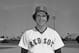 Bernie Carbo hit .429 with four RBI against the Reds in the World Series.