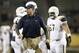 Toledo HC Matt Campbell