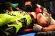 Zerafa being stretchered from the ring. Thankfully, he was OK.