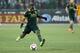 Nov 22, 2015; Portland, OR, USA; Portland Timbers forward/midfielder Darlington Nagbe (6) advances the ball in the first half against the FC Dallas in leg one of the Western Conference championship at Providence Park. Mandatory Credit: Jaime Valdez-USA TO