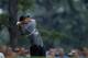 Tiger Woods, 2000