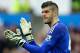SWANSEA, WALES - FEBRUARY 13: Fraser Forster of Southampton in action during the Barclays Premier League match between Swansea City and Southampton at the Liberty Stadium on February 13, 2016 in Swansea, Wales. (Photo by Richard Heathcote/Getty Images)