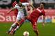 Cologne's midfielder Leonardo Bittencourt (R) and Moenchengladbach's Norwegian midfielder Havard Nordtveit vie for the ball during the German first division Bundesliga football match Borussia Moenchengladbach vs 1. FC Cologne in Moenchengladbach , western