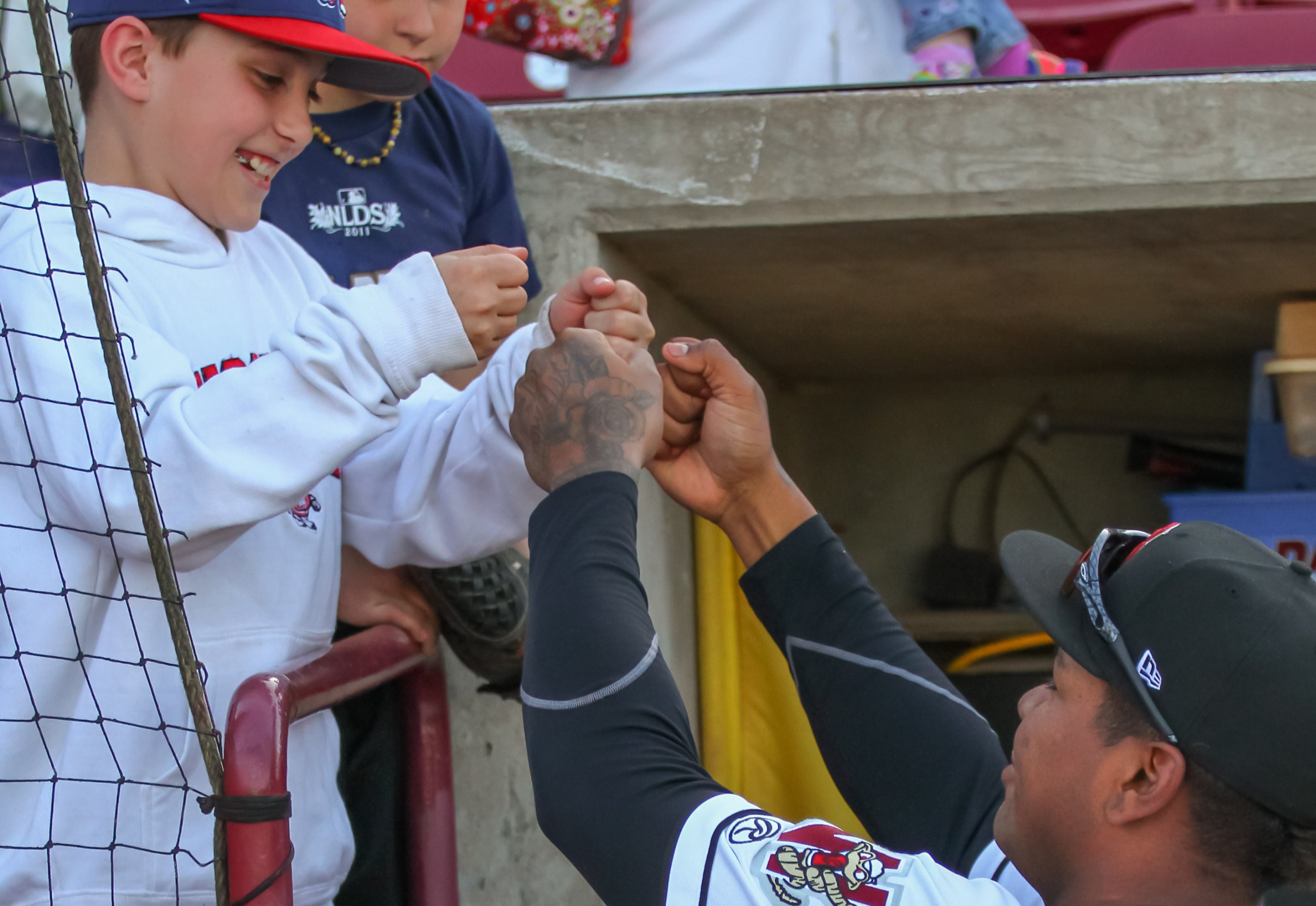 Caps Bitten by Timber Rattlers in Sweep