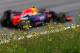 Austria 2015 was a particularly scarring weekend for Red Bull.