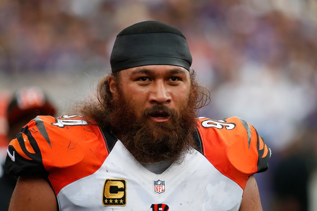Bengals DT Domata Peko Calls Rival Steelers 'Pieces of Bleep' | News