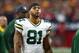 Dec 27, 2015; Glendale, AZ, USA; Green Bay Packers tight end Andrew Quarless (81) against the Arizona Cardinals at University of Phoenix Stadium. The Cardinals defeated the Packers 38-8. Mandatory Credit: Mark J. Rebilas-USA TODAY Sports