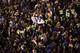 CHICAGO, IL - OCTOBER 30: Fans celebrate outside Wrigley Field after the Chicago Cubs beat the Cleveland Indians 3-2 during Game Five of the 2016 World Series at Wrigley Field on October 30, 2016 in Chicago, Illinois. (Photo by Scott Olson/Getty Images)