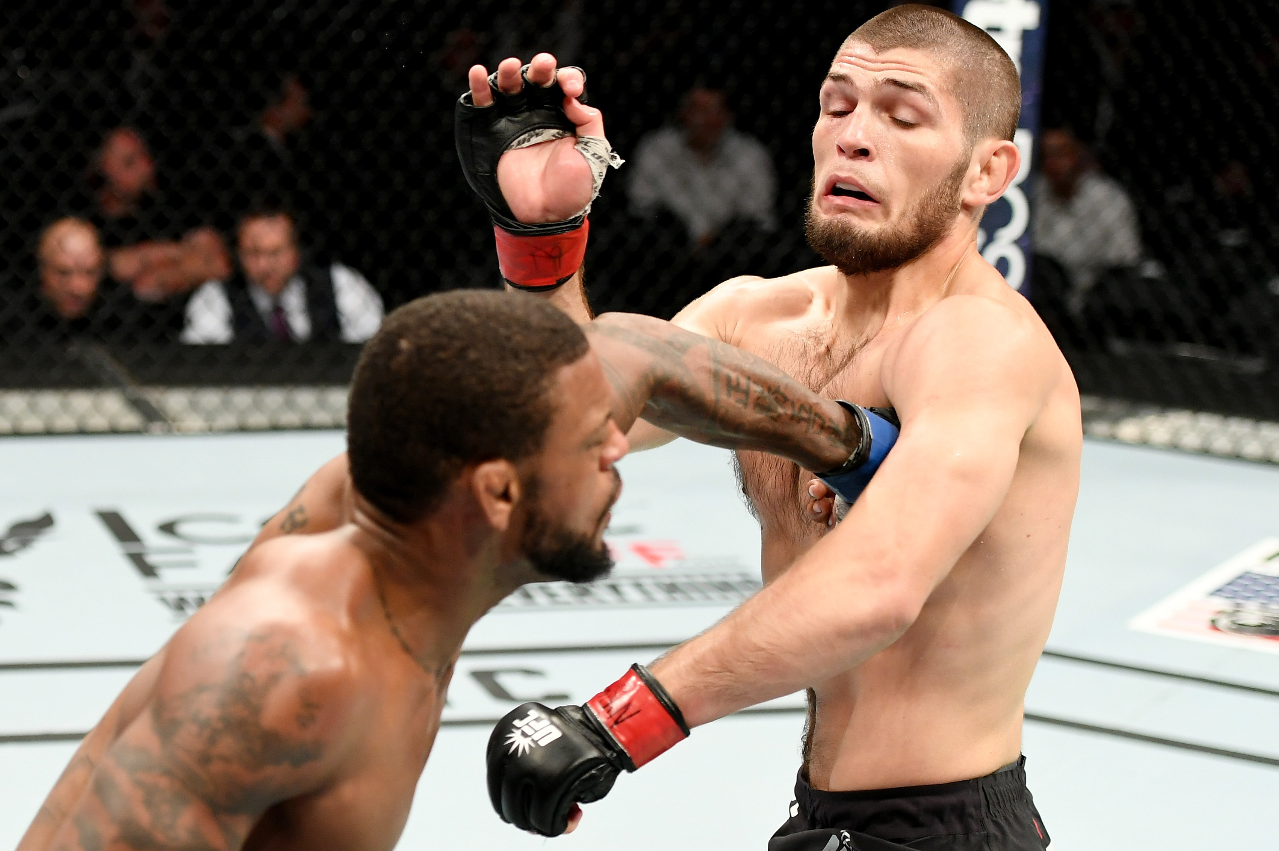 Khabib Full Size