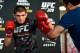 Nurmagomedov at the UFC 209 open workouts.
