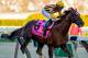 Irish War Cry has been in mixed form as of late.