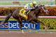 HALLANDALE BEACH, FL - APRIL 01: Always Dreaming #4 (FL) with jockey John Velazquez on board, wins the Xpressbet Florida Derby (Grade I) at Gulfstream Park on April 01, 2017 in Hallandale Beach, Florida. (Photo by Liz Lamont/Eclipse Sportswire/Getty Imag