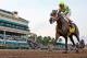 HALLANDALE BEACH, FL - APRIL 01: Always Dreaming #4 (FL) with jockey John Velazquez on board, wins the Xpressbet Florida Derby (Grade I) at Gulfstream Park on April 01, 2017 in Hallandale Beach, Florida. (Photo by Liz Lamont/Eclipse Sportswire/Getty Imag