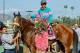 ARCADIA, CA - APRIL 08: Gormley #8, ridden by Victor Espinoza, after winning the Santa Anita Derby at Santa Anita Park on April 8, 2017 in Arcadia, California. (Photo by Casey Phillips/Eclipse Sportswire/Getty Images)