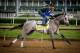 LOUISVILLE, KY - MAY 03: Fast and Accurate, owned by Kendall E. Hansen and trained by Michael J. Maker, exercises in preparation for the Kentucky Derby at Churchill Downs on May 03, 2017 in Louisville, Kentucky. (Photo by Alex Evers/Eclipse Sportswire/Get