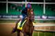 LOUISVILLE, KY - MAY 03: Irish War Cry, owned by Isabelle de Tomaso and trained by H. Graham Motion, exercises in preparation for the Kentucky Derby at Churchill Downs on May 03, 2017 in Louisville, Kentucky. (Photo by Alex Evers/Eclipse Sportswire/Getty