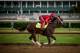 LOUISVILLE, KY - MAY 03: Classic Empire, owned by John Oxley and trained by Mark E. Casse, with Martin Rivers aboard exercises in preparation for the Kentucky Derby at Churchill Downs on May 03, 2017 in Louisville, Kentucky. (Photo by Alex Evers/Eclipse S