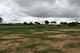 The pitch at Flavio and Costa's soccer school