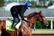 Gunnevera is in the condition to produce an upset in Baltimore.