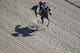 18-1 Conquest Mo Money may be the best long shot at Pimlico.