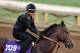 ARCADIA, CA - NOV 01: Term of Art, owned by Calumet Farm and trained by Doug F. OâNeill, exercises in preparation for the Breeders' Cup Sentient Jet Juvenile at Santa Anita Park on November 1, 2016 in Arcadia, California. (Photo by Scott Serio/Breeders Cu
