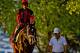 BALTIMORE, MD - MAY 18: Preakness contender Classic Empire heads to a busy track with Trainer Mark Casse as preparations are in full swing for the Preakness Stakes this Saturday at Pimlico Race Course on May 18, 2017 in Baltimore, Maryland.(Photo by Scott