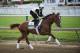 Senior Investment is coming off a third-place finish in the Preakness.