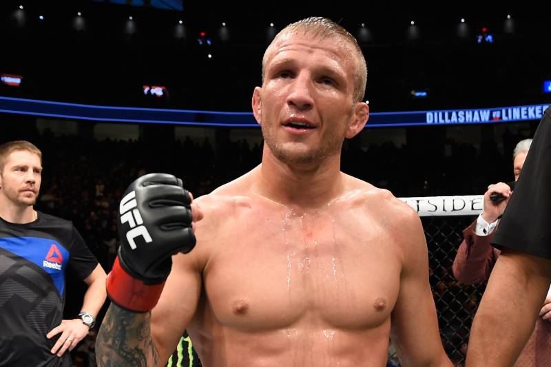 Former UFC bantamweight champ T.J. Dillashaw hopes to jump the line at flyweight to challenge Johnson.