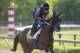 BALTIMORE, MD - MAY 18: Lookin at Lee on the track in preparation for the Preakness Stakes at Pimlico Race Course on May 18, 2017 in Baltimore, Maryland. (Photo by Horsephotos/Getty Images)