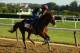 Irish War cry has assumed the role of favorite.