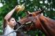 ELMONT, NY - JUNE 06: Belmont Stakes contender Patch is bathed after training prior to the 149th running of the Belmont Stakes at Belmont Park on June 6, 2017 in Elmont, New York. (Photo by Al Bello/Getty Images)