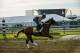 BALTIMORE, MD - MAY 18: Lookin at Lee on the track in preparation for the Preakness Stakes at Pimlico Race Course on May 18, 2017 in Baltimore, Maryland. (Photo by Horsephotos/Getty Images)