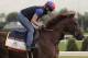 Irish War Cry