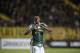 Brazil's Palmeiras player Yerry Mina celebrates after scoring a goal against Uruguay's Penarol during their Libertadores Cup football match at the Campeones del Siglo Stadium in Montevideo on April 26, 2017. / AFP PHOTO / MIGUEL ROJO (Photo credit