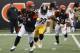 At the age of 38, Harrison led the Steelers in sacks last season with five.