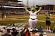 DAYTON, OH - JULY 9: Heater and members of the Dayton Dragons Rally Pack entertain the crowd during the game between the Dayton Dragons and the South Bend Silver Hawks breaking the All Time Professional Sports Consecutive Sellout Record at 815 consecutive